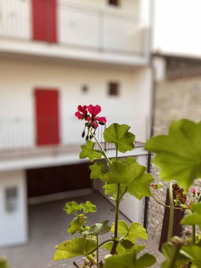 La Volpe Rossa Rooms And Apartments 산펠리체델바나코 외부 사진